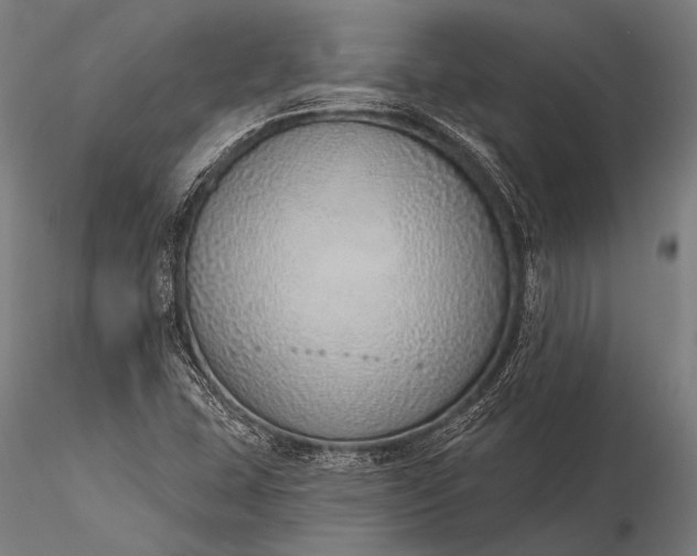 X0000116111407200912071312