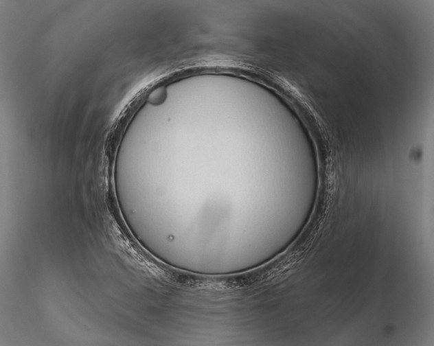 X0000116111408200912071312