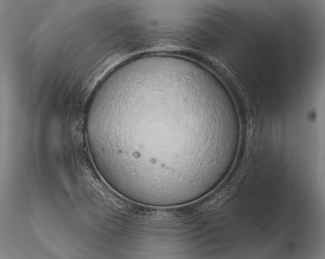 X0000116111409200912071312