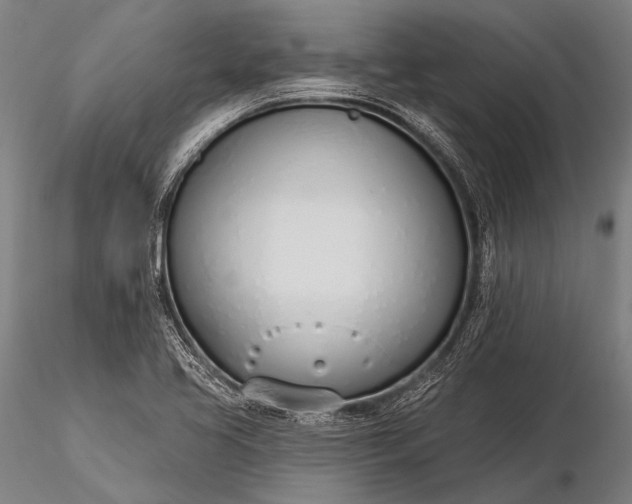 X0000116111413200912071312