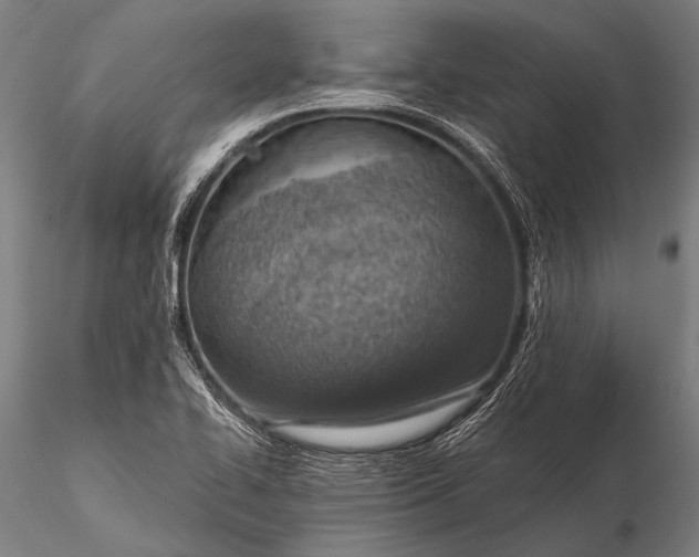 X0000116111414200912071312