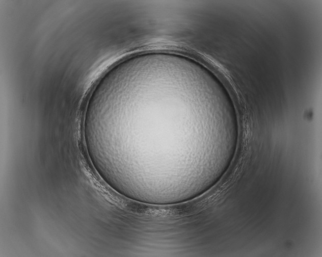 X0000116111415200912071312