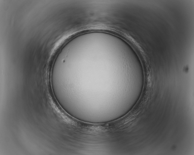 X0000116111416200912071312