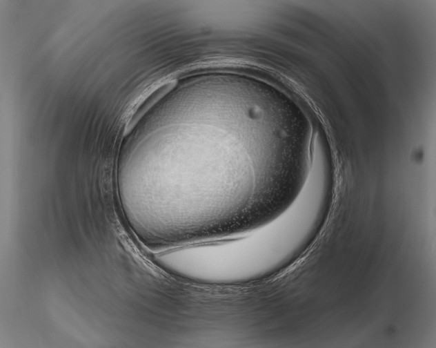 X0000116111417200912071312