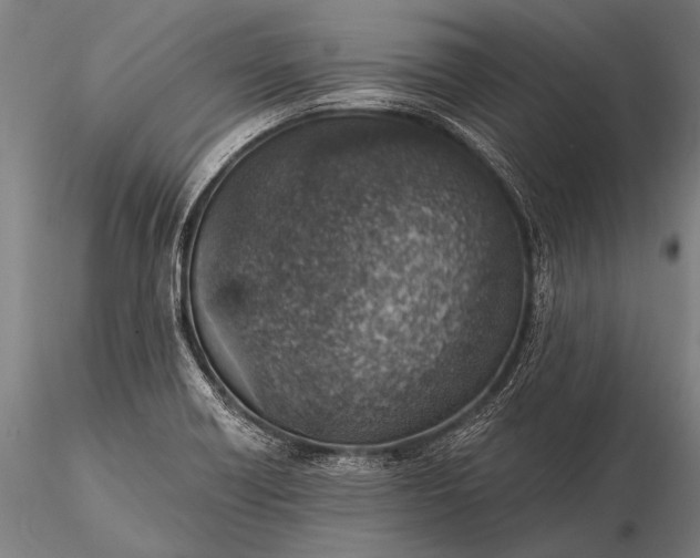 X0000116111418200912071312