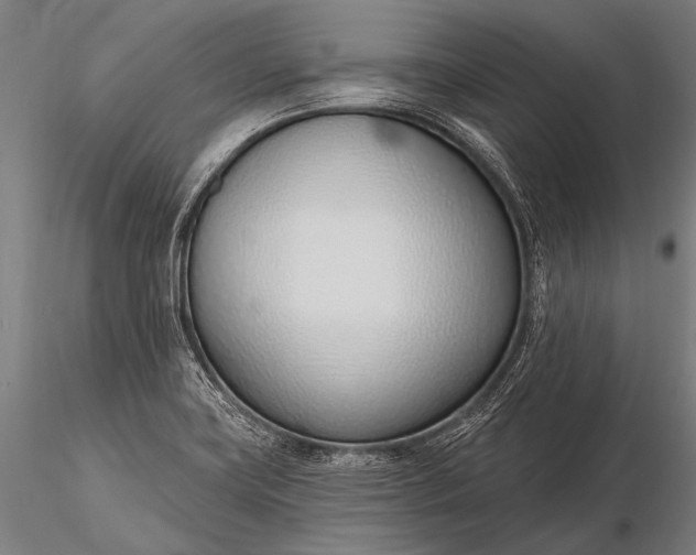 X0000116111419200912071312