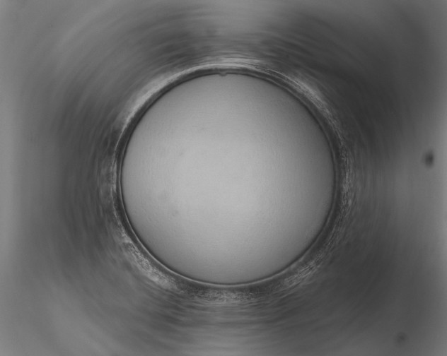 X0000116111420200912071312