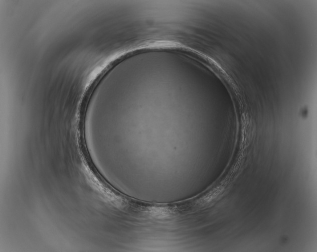 X0000116111422200912071312