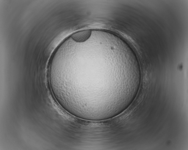 X0000116111423200912071312