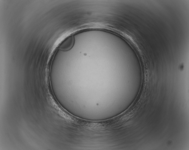 X0000116111424200912071312