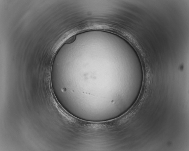 X0000116111425200912071312