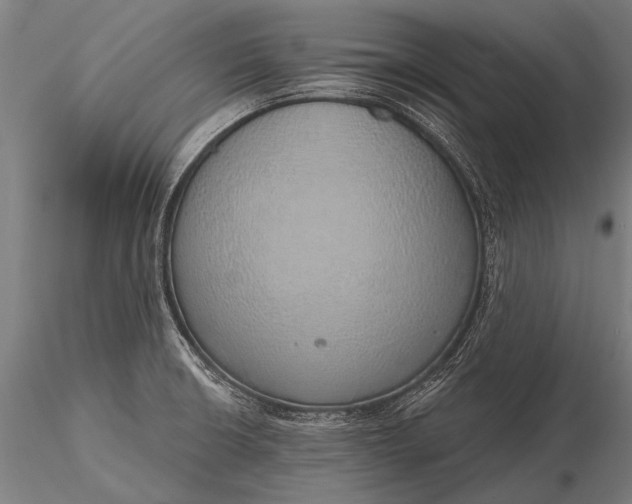 X0000116111426200912071313