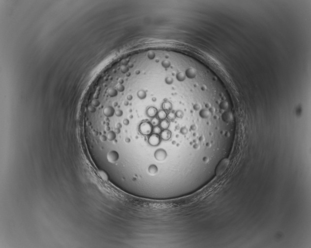 X0000116111427200912071313