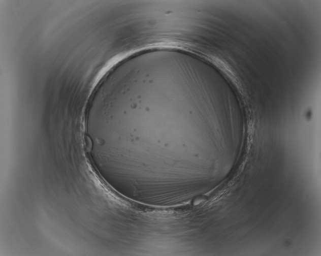 X0000116111428200912071313