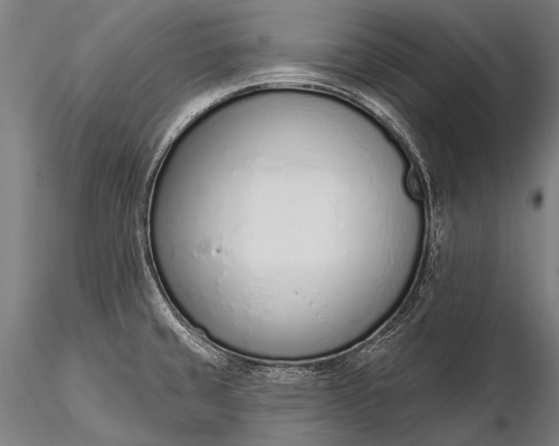 X0000116111429200912071313