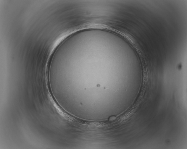 X0000116111430200912071313