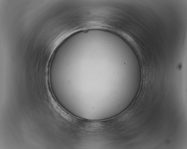 X0000116111431200912071313