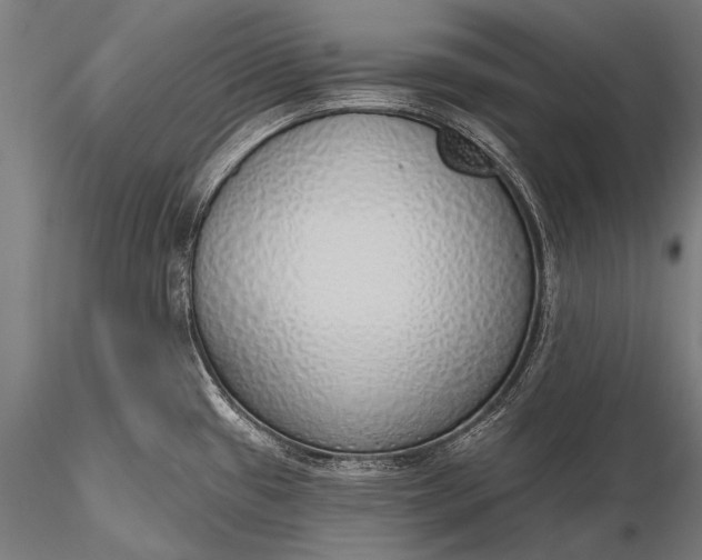 X0000116111433200912071313