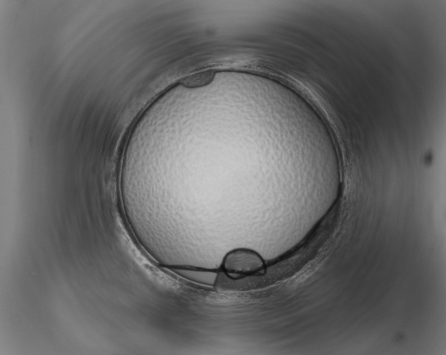 X0000116111434200912071313