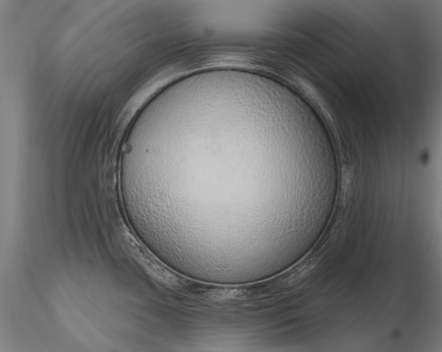 X0000116111435200912071313