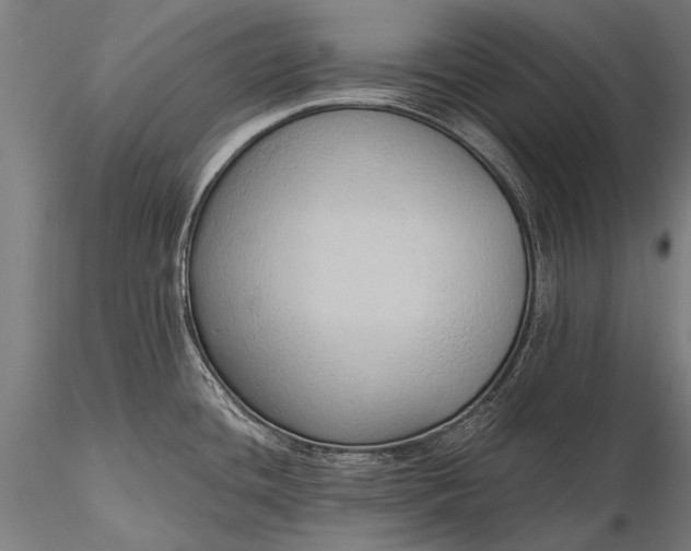 X0000116111436200912071313