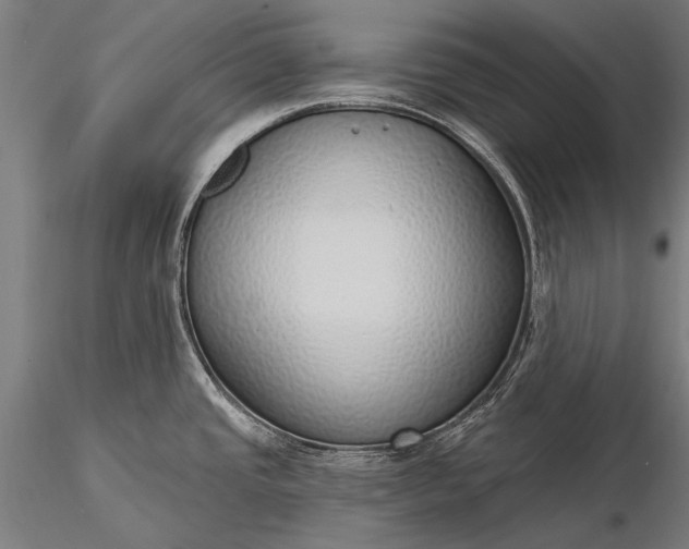 X0000116111437200912071313