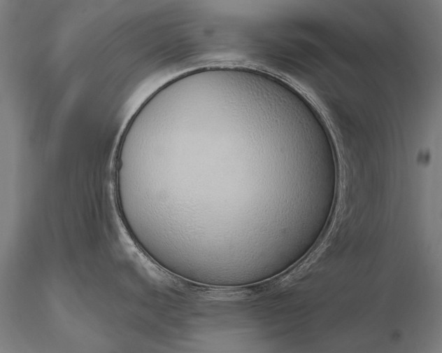 X0000116111440200912071313