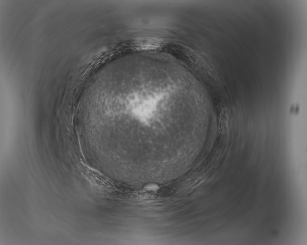 X0000116111441200912071312