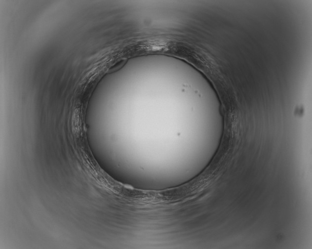 X0000116111442200912071312