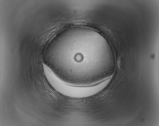 X0000116111444200912071312