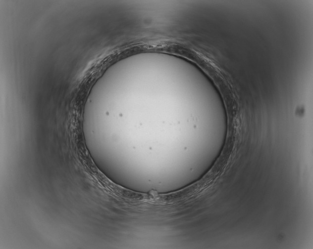 X0000116111447200912071312