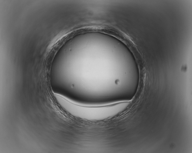 X0000116111448200912071312