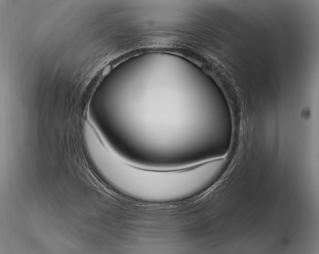 X0000116111449200912071312