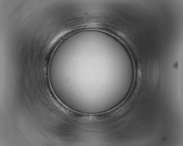 X0000116111450200912071312