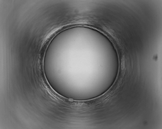 X0000116111452200912071312