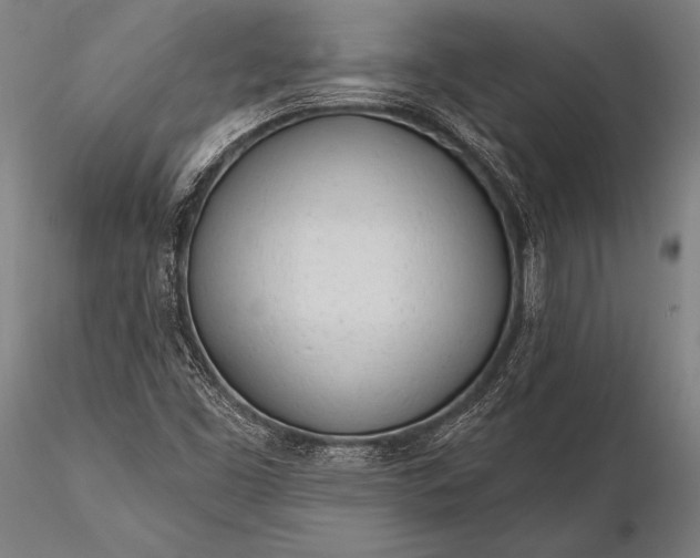 X0000116111453200912071312