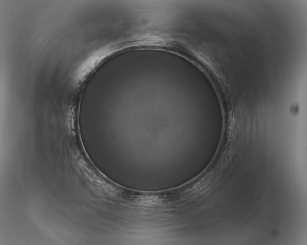 X0000116111455200912071312