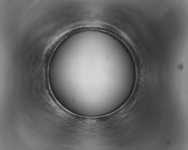 X0000116111456200912071312