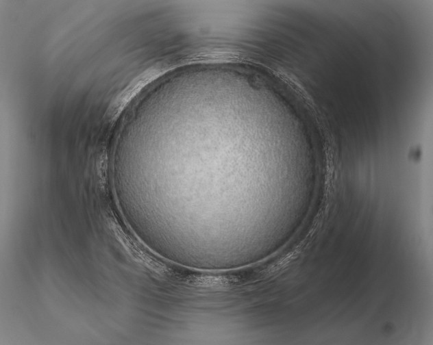 X0000116111457200912071312