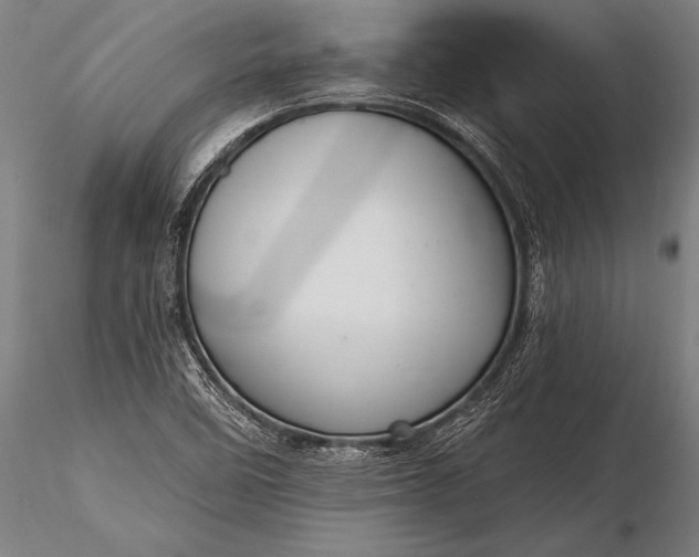 X0000116111458200912071312