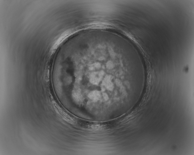 X0000116111459200912071312