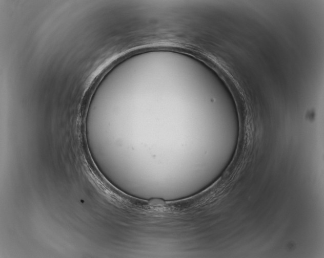 X0000116111460200912071312