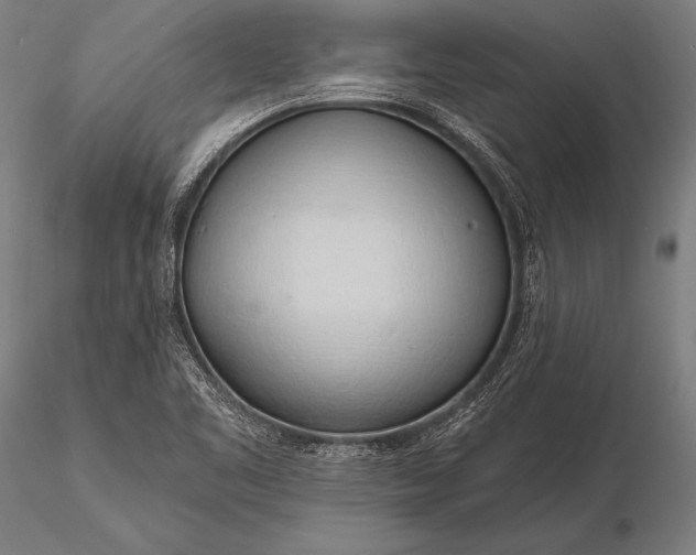 X0000116111461200912071312