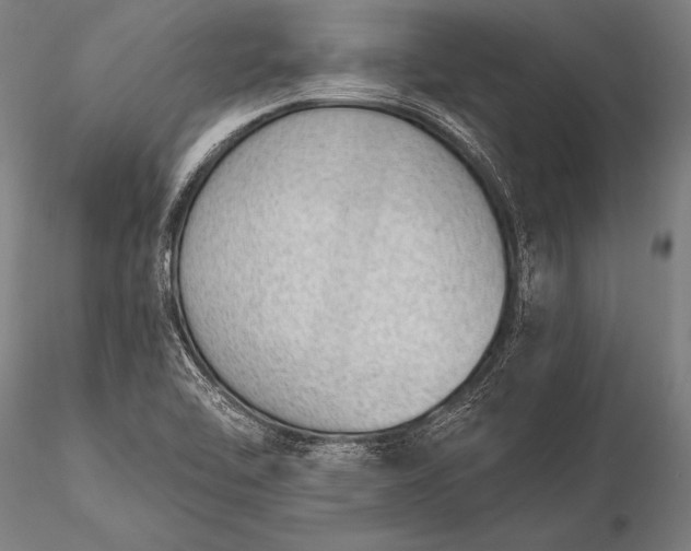 X0000116111462200912071312