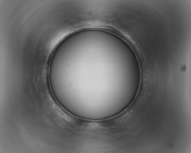 X0000116111463200912071312