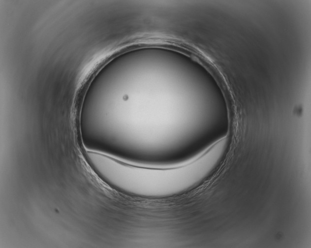 X0000116111464200912071312