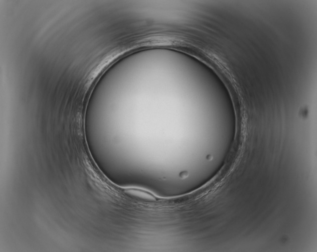 X0000116111465200912071312