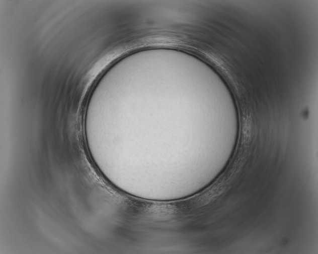 X0000116111466200912071312