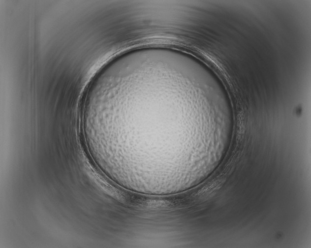 X0000116111467200912071312