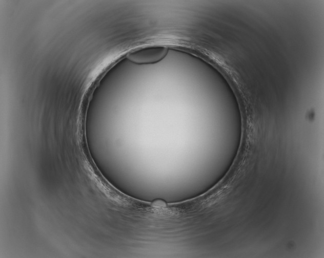 X0000116111469200912071311